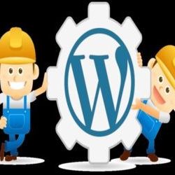 get wordpress help
